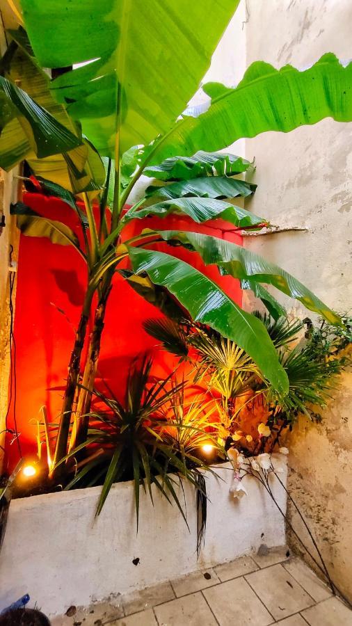 Votre Escale Jungle Sauna & Spa Ніор Екстер'єр фото